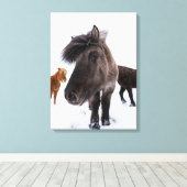 Icelandic Horse Portrait, Iceland Canvas Afdruk (Insitu (Houten vloer))
