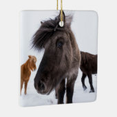 Icelandic Horse Portrait, Iceland Keramisch Ornament (Rechts)