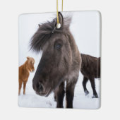 Icelandic Horse Portrait, Iceland Keramisch Ornament (Links)