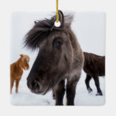 Icelandic Horse Portrait, Iceland Keramisch Ornament (Achterkant)