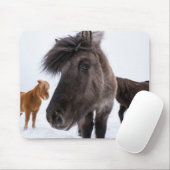 Icelandic Horse Portrait, Iceland Muismat (Met muis)