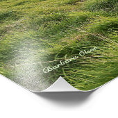 Icelandic horses; country scene foto afdruk (Hoek)