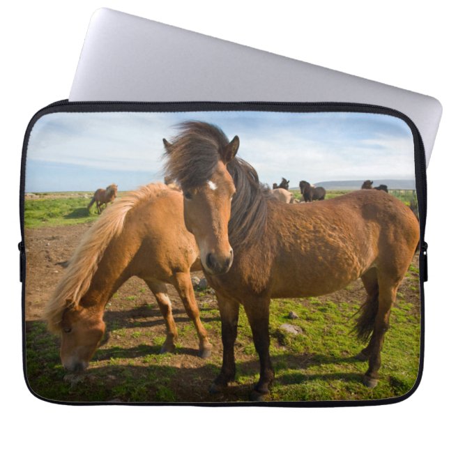 Icelandic Horses Graze Laptop Sleeve (Voorkant)