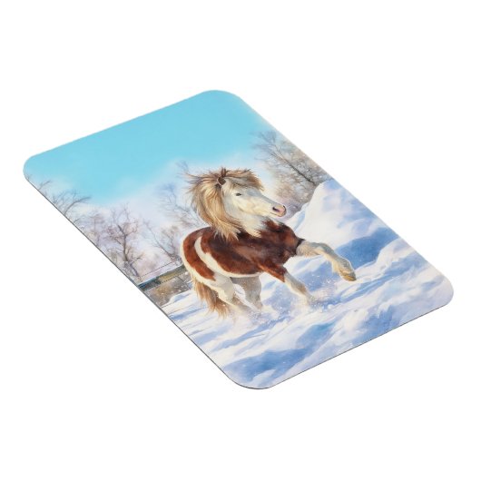 Icelandic Pinto Winter Magnet Magneet (Rechterzijde)