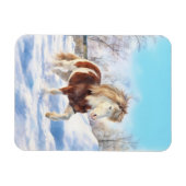 Icelandic Pinto Winter Magnet Magneet (Horizontaal)
