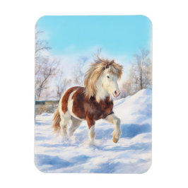 Icelandic Pinto Winter Magnet Magneet