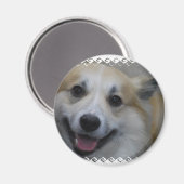 icelandic-sheepdog-2.jpg magneet (Voorkant / Achterkant)