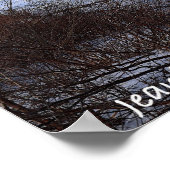 Icey Delaware Poster (Hoek)