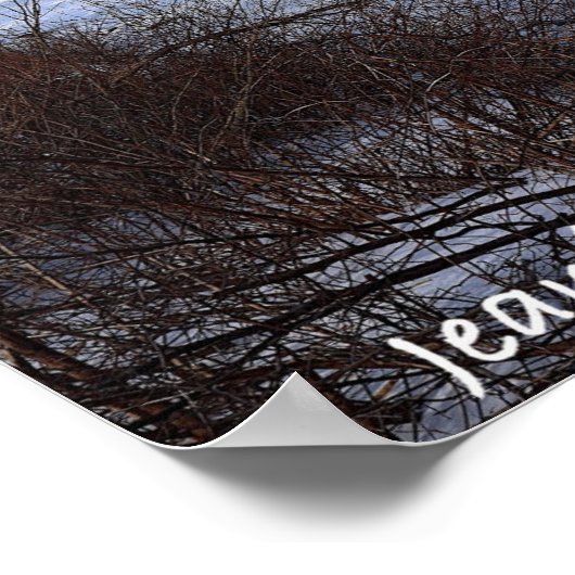 Icey Delaware Poster (Hoek)