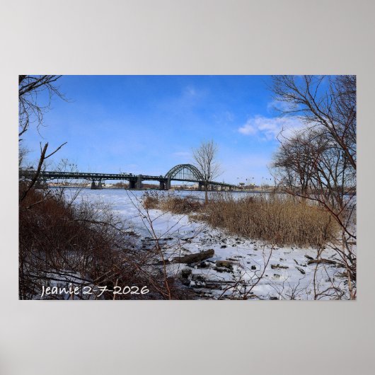 Icey Delaware Poster (Voorkant)