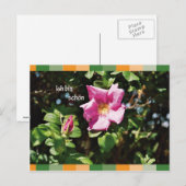 Ich bin schoen briefkaart (Voorkant / Achterkant)