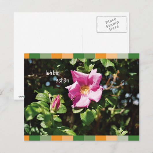 Ich bin schoen briefkaart (Voorkant / Achterkant)