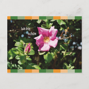 Ich bin schoen briefkaart