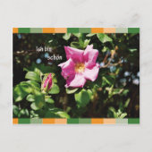 Ich bin schoen briefkaart (Voorkant)