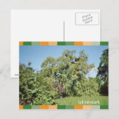 Ich bin stark briefkaart (Voorkant / Achterkant)