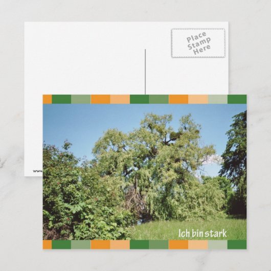 Ich bin stark briefkaart (Voorkant / Achterkant)