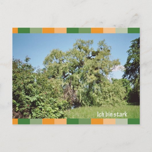 Ich bin stark briefkaart (Voorkant)