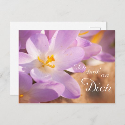 Ich denk een Dich Briefkaart (Voorkant / Achterkant)