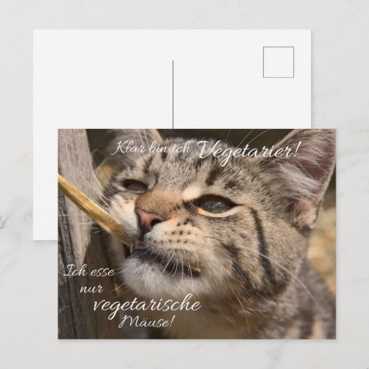 Ich esse nur vegetarische Mäuse... Briefkaart (Voorkant / Achterkant)