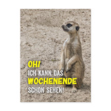 Ich kann das Wochenende schon sehen - Erdmännchen