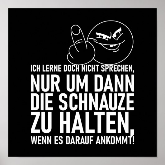ICH LERNE DOCH NICHT SPRECHEN POSTER (Voorkant)