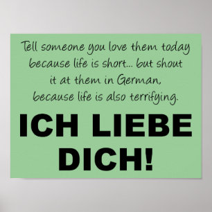Ich Liebe Dich I love you Funny Poster Sign