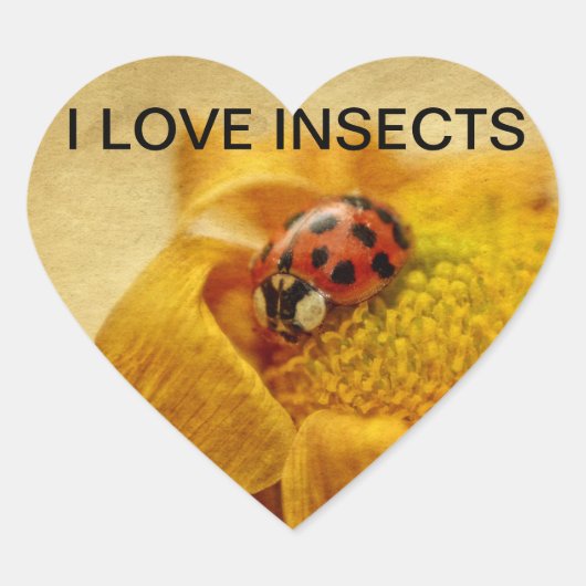 Ich liebe Marienkäfer Hart Sticker (Voorkant)