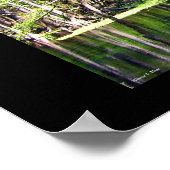 Ichetucknie Poster (Hoek)