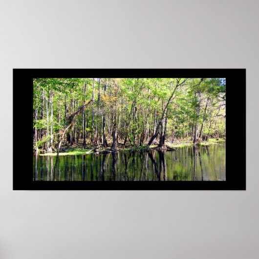 Ichetucknie Poster (Voorkant)