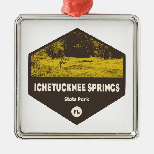 Ichetucknie Springs State Park Florida Metalen Ornament (Voorkant)