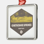 Ichetucknie Springs State Park Florida Metalen Ornament (Links)