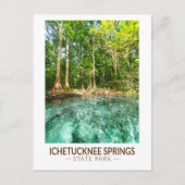 Ichetucknie Springs State Park Florida Waterverf Briefkaart (Voorkant)