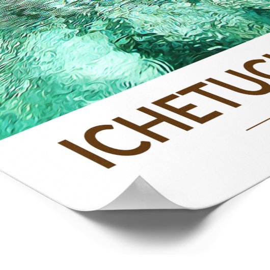 Ichetucknie Springs State Park Florida Waterverf Poster (Hoek)