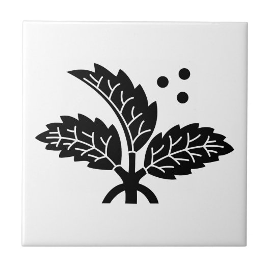 Ichinohashi Holly Tegeltje (Voorkant)