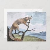 Ichneumon (Mongoose) Wildlife Art Briefkaart (Voorkant / Achterkant)