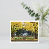 Icho Namiki (Ginkgo Avenue): Tokio, Japan Briefkaart (Staand voorkant)