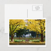 Icho Namiki (Ginkgo Avenue): Tokio, Japan Briefkaart (Voorkant / Achterkant)