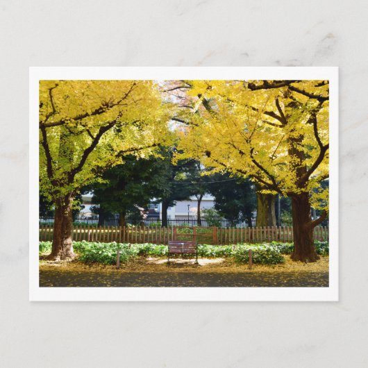 Icho Namiki (Ginkgo Avenue): Tokio, Japan Briefkaart (Voorkant)