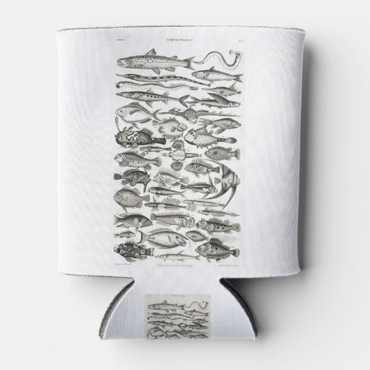 Ichthyologiechthyology, fish, oceanica, ichtyoloog blikjeskoeler (Voorkant)