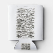 Ichthyologiechthyology, fish, oceanica, ichtyoloog blikjeskoeler (Achterkant)