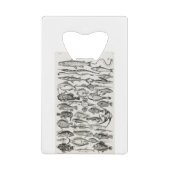 Ichthyologiechthyology, fish, oceanica, ichtyoloog creditkaart flessenopener (Voorkant)