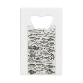 Ichthyologiechthyology, fish, oceanica, ichtyoloog creditkaart flessenopener