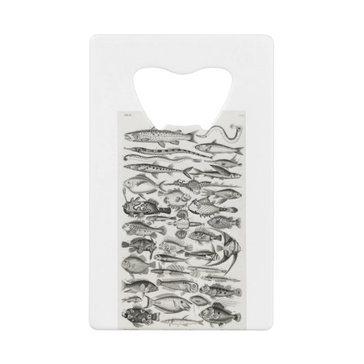 Ichthyologiechthyology, fish, oceanica, ichtyoloog creditkaart flessenopener (Voorkant)