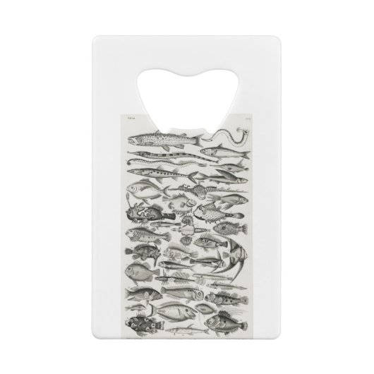 Ichthyologiechthyology, fish, oceanica, ichtyoloog creditkaart flessenopener (Achterkant)