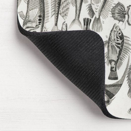 Ichthyologiechthyology, fish, oceanica, ichtyoloog muismat (Hoek)