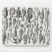 Ichthyologiechthyology, fish, oceanica, ichtyoloog muismat (Voorkant)