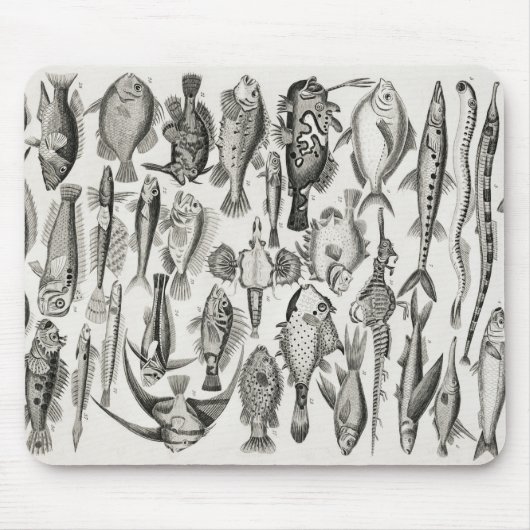 Ichthyologiechthyology, fish, oceanica, ichtyoloog muismat (Voorkant)