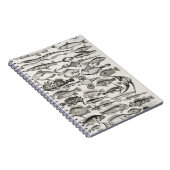 Ichthyologiechthyology, fish, oceanica, ichtyoloog notitieboek (Rechterzijde)