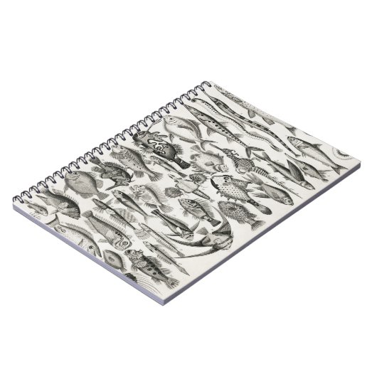 Ichthyologiechthyology, fish, oceanica, ichtyoloog notitieboek (Linkerzijde)
