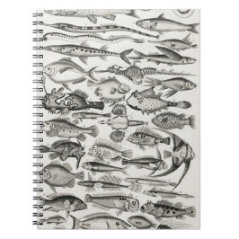 Ichthyologiechthyology, fish, oceanica, ichtyoloog notitieboek